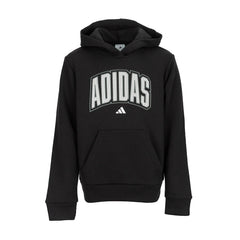 Collegiate Fleece Hooded Pullover - Youth
