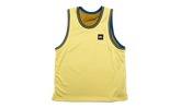 SB Basketball Skate Jersey "Saturn Gold / Bronzine" FN2597 700