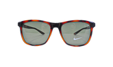Passsage Sunglasses "Tortoise / Green" EV1199 203