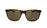 Essential Endeavor Sunglasses "Matte Tortoise" FQ4619 202