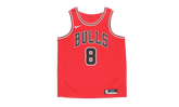 NBA Chicago Bulls Icon Edition Swingman Jersey "Zach Lavine - Chicago Red / Black / White" CW3660 660