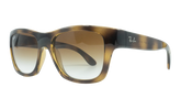 Square Sunglasses "Light Havana" RB4194-710-85_53