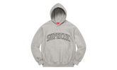 Metallic Arc Hooded Sweatshirt "SS23 - Heather Grey" SU27234