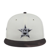 Astros Color Develop 2-Tone 950