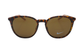 Journey Sunglasses "Tortoise / Fossil Rose / Dark Brown" DV2292 220