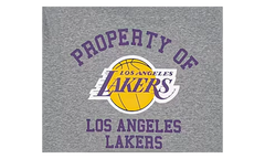NBA Hoodie Los Angeles Lakers "Grey" EE173