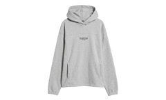 Places We Love Hoodie "Seven Summits - TNF Pale Grey Heather" NF0A8JEKCQO