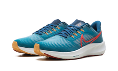 Air Zoom Pegasus 39 "Bright Spruce Valerian Blue Cerulean Light Crimson" DH4071 302